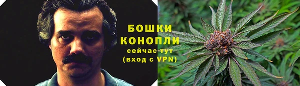 таблы Лиски