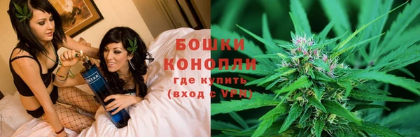 индика Аркадак