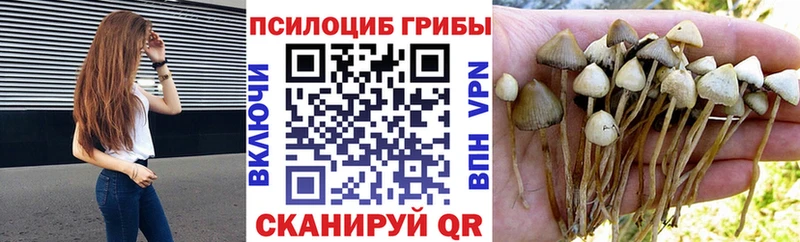 Галлюциногенные грибы прущие грибы Выкса