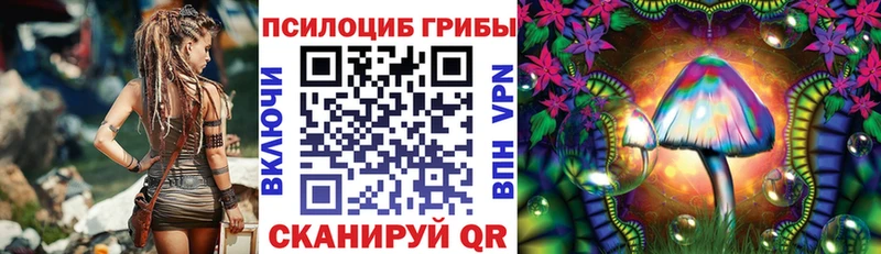 Галлюциногенные грибы Psilocybe  цены наркотик  Выкса 