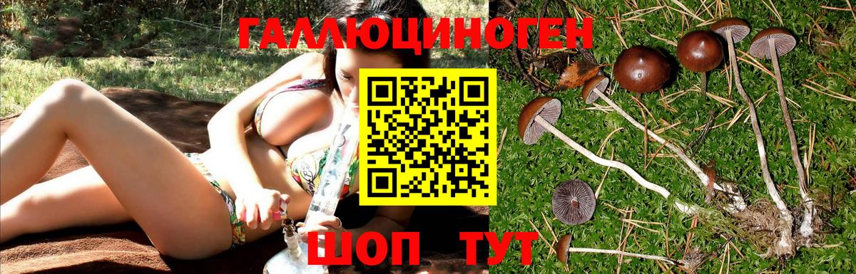 ЭКСТАЗИ  МЕФ   Метамфетамин  Гашиш  Выкса  КОКАИН  MDMA  Канабис 