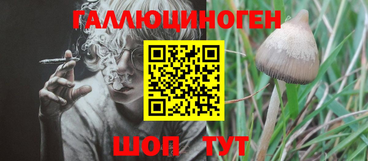 Выкса  хочу   Вход с VPN  Псилоцибиновые грибы мухоморы 