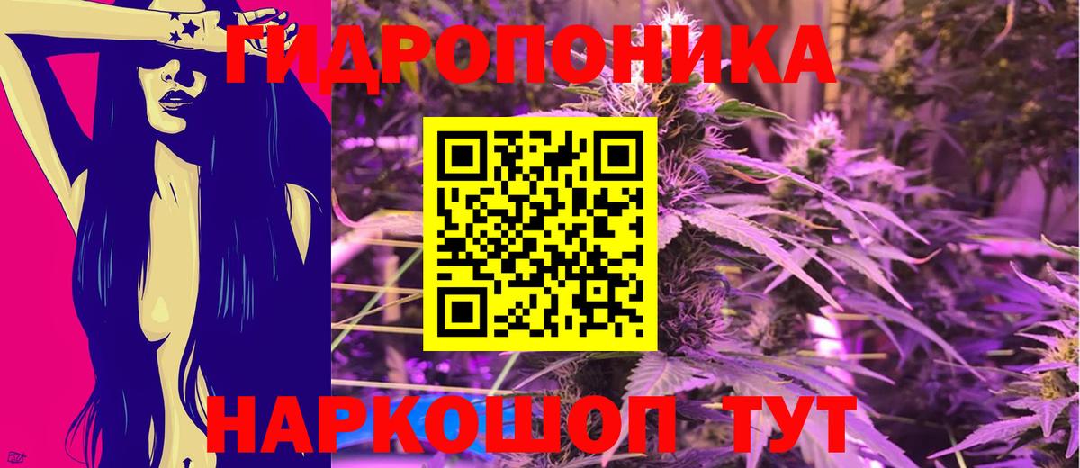 Конопля тримм  Каннабис ГИДРОПОН  Выкса  Бошки марихуана план  Канабис OG Kush 